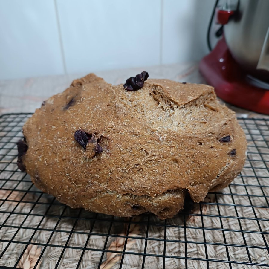 Rústico Cerveja Preta e Azeitona Preta