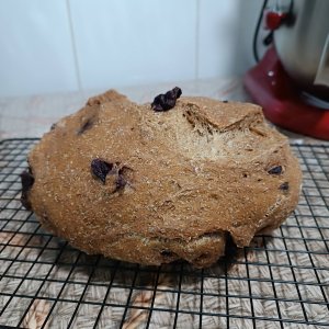 Rústico Cerveja Preta e Azeitona Preta - Imagem 1